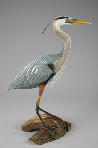 great blue heron